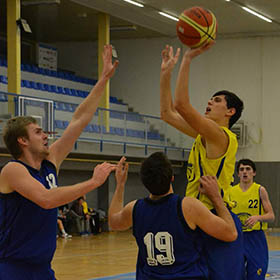 Basketbal